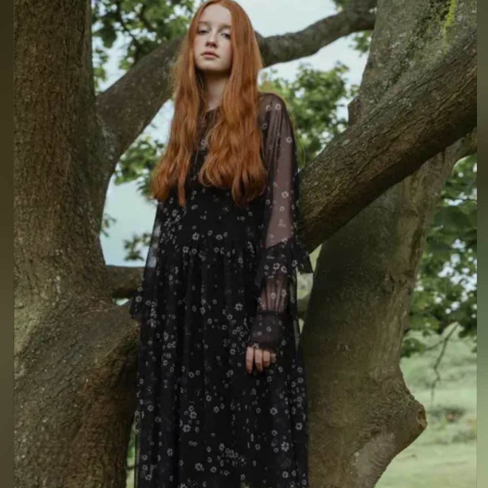 H&M Black Mesh Floral Long Sleeve Dress